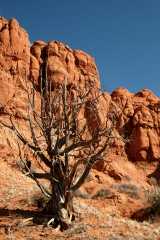 20080320KodachromeBasin2563
