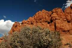 20080320KodachromeBasin2583