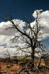 20080320KodachromeBasin2588