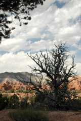 20080320KodachromeBasin2594
