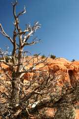 20080320KodachromeBasin2604