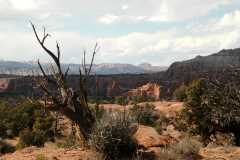 20080320KodachromeBasin2608