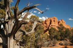 20080320KodachromeBasin2621