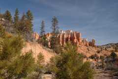 20080320MossyCaveTrail2344
