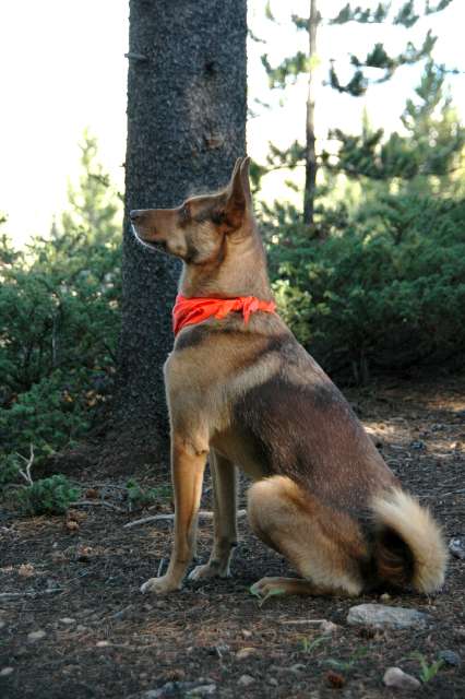 20080823Camping5377