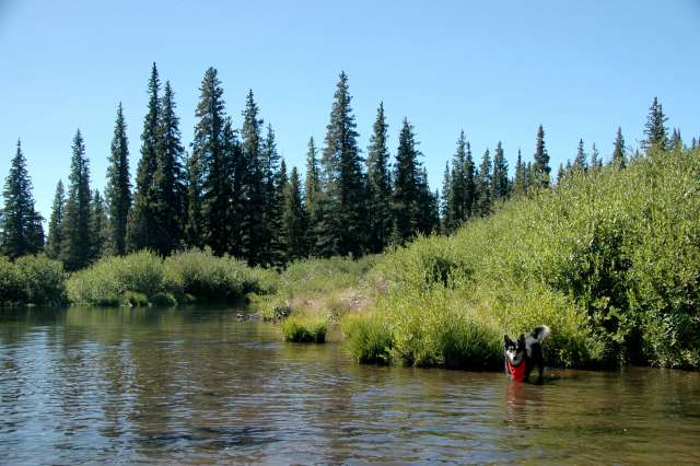 20080823Camping5434