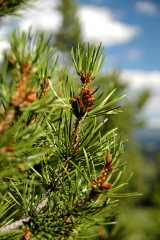 20080823Camping5297