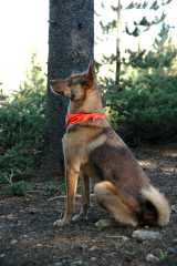 20080823Camping5377