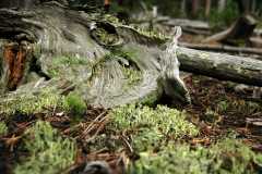 20080823Camping5530