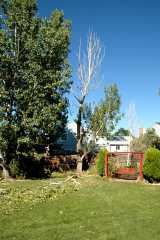 20080916Dudley6498