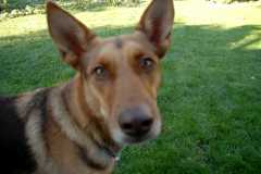 20080916Dudley6526