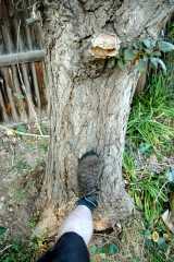 20080916Dudley6530