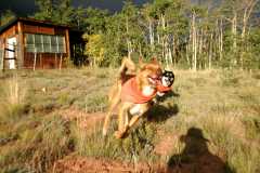 20080917Fairplay6721