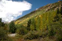 20080918MosquitoGulch6939