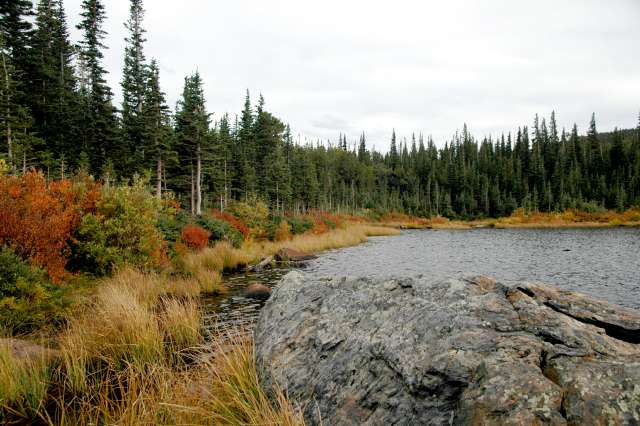 20080922FallColor7249