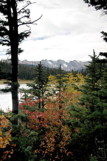 20080922FallColor7272