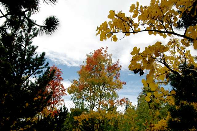 20080922FallColor7330
