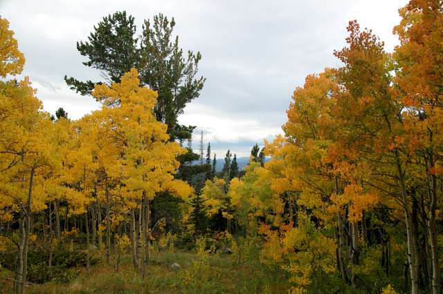 20080922FallColor7337