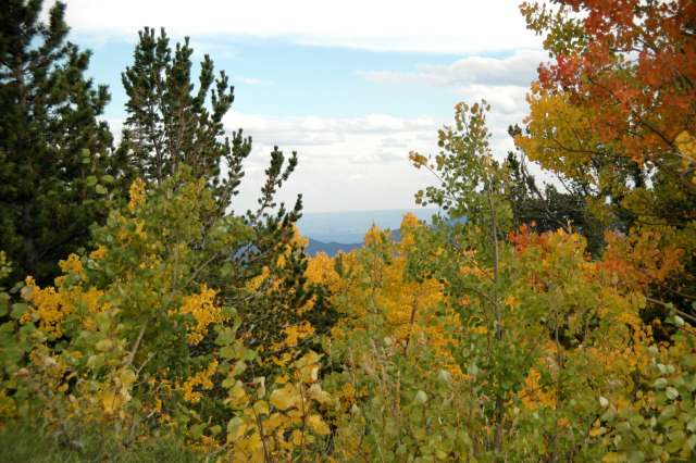 20080922FallColor7368