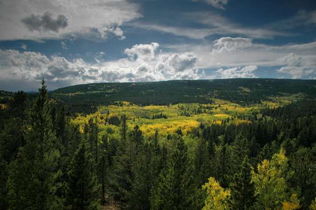 20080922FallColor7435