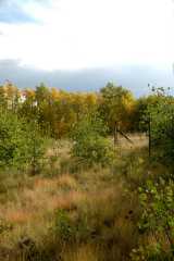 20080917Fairplay6750