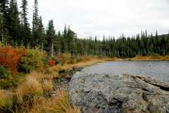 20080922FallColor7249