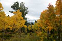 20080922FallColor7337