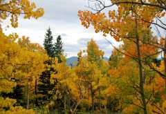 20080922FallColor7351