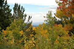 20080922FallColor7368