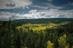 20080922FallColor7435