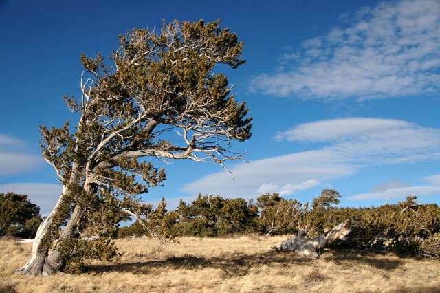 20081104BuckskinGulch7970