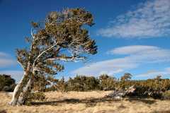 20081104BuckskinGulch7970