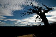 20081104BuckskinGulch8074