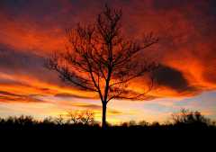 0220071115Sunset030