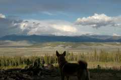 0620070603Camping2013