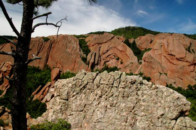 20090616Roxborough0473