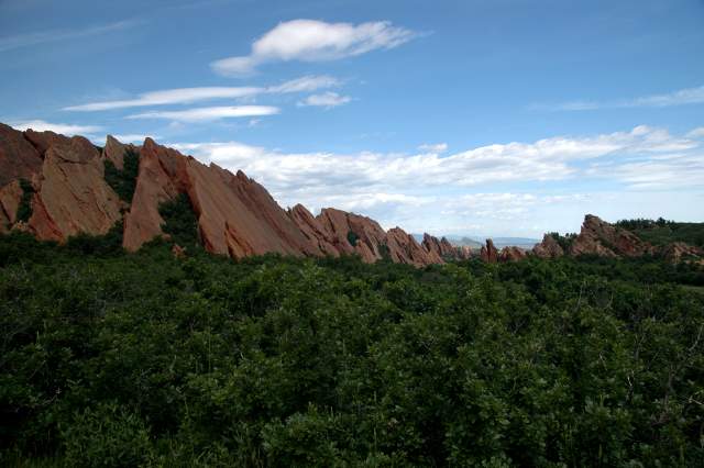 20090616Roxborough0636