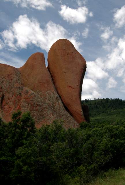 20090616Roxborough0653