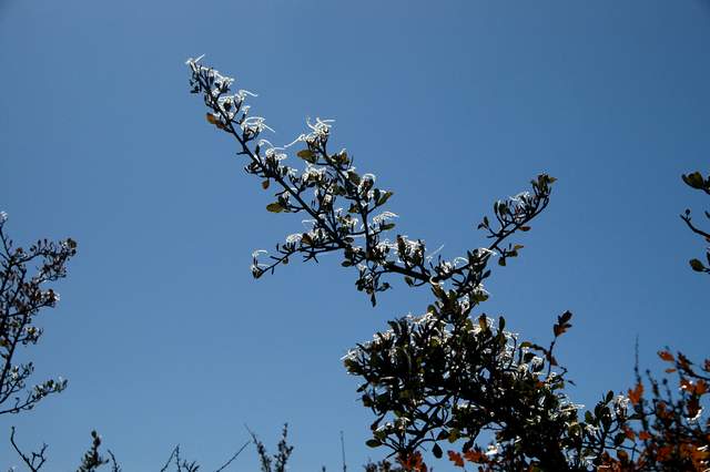 20091017Roxborough1822