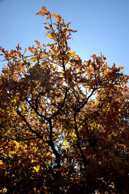 20091017Roxborough1839