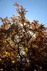 20091017Roxborough1839
