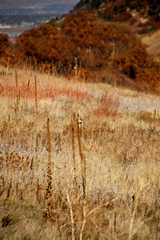 20091017Roxborough1965