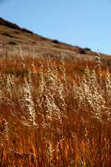 20091017Roxborough1971