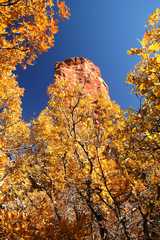 20091017Roxborough2085