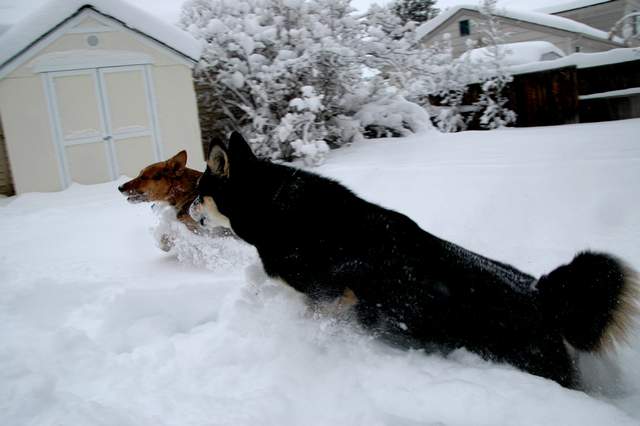 20091029Snow2662
