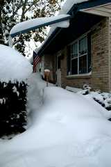 20091029Snow2643