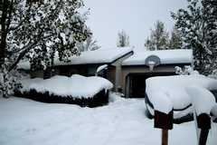 20091029Snow2645