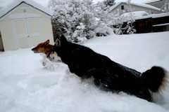 20091029Snow2662
