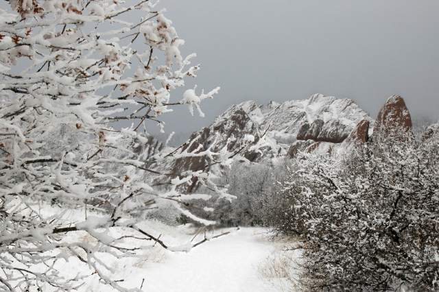 01-20080121Roxborough86023