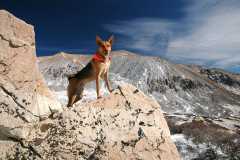 02-20081104BuckskinGulch7770